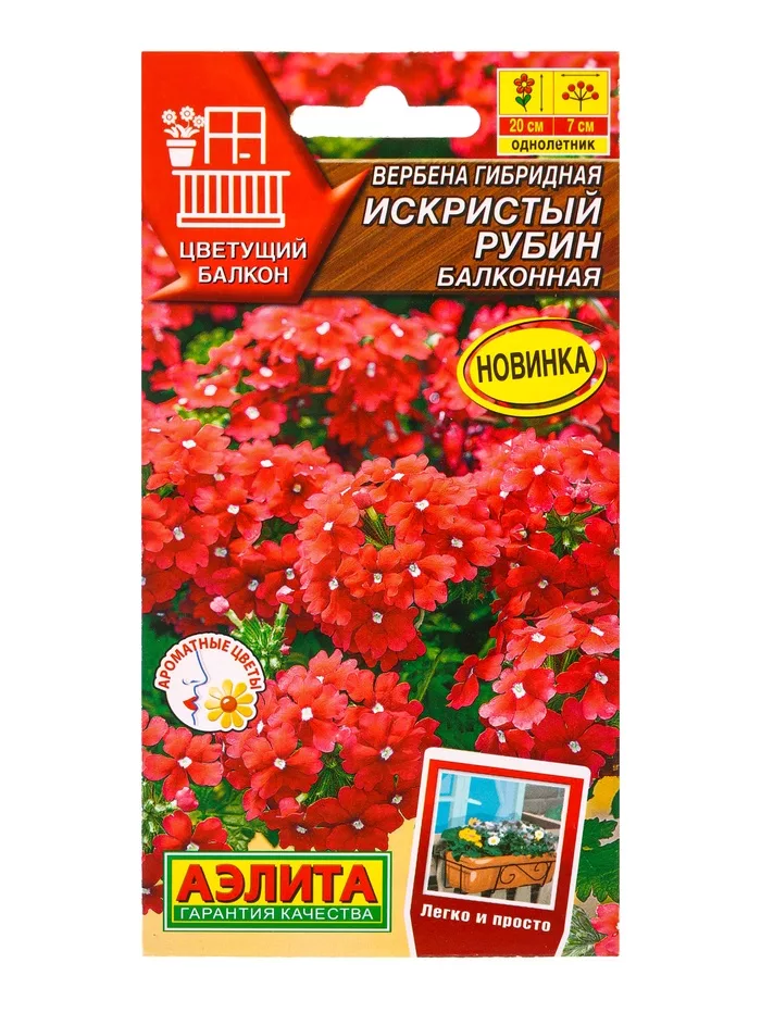 Семена цветов Вербена Искристый рубин балконная Цветущий балкон — для балкон — фото 3