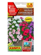Семена цветов Катарантус Малыш карликовый — для балкон — фото 4