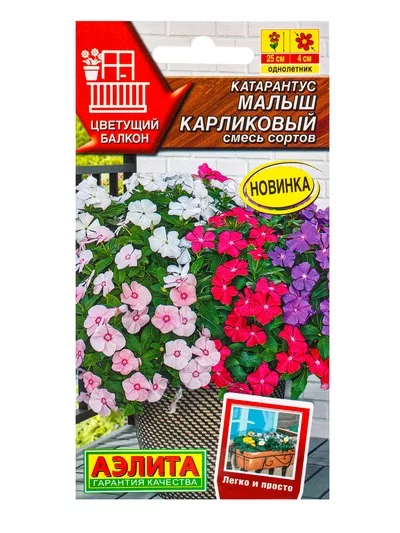 Семена цветов Катарантус Малыш карликовый — для балкон — фото 6