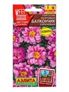 Семена цветов Портулак махровый Балкончик сиреневый Цветущий балкон — для балкон — фото 4