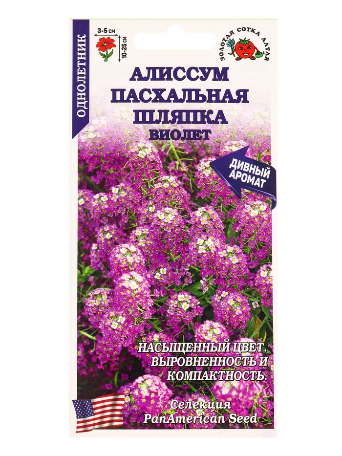Семена Алиссум «Пасхальная шляпка Виолет» — для балкон — фото 3