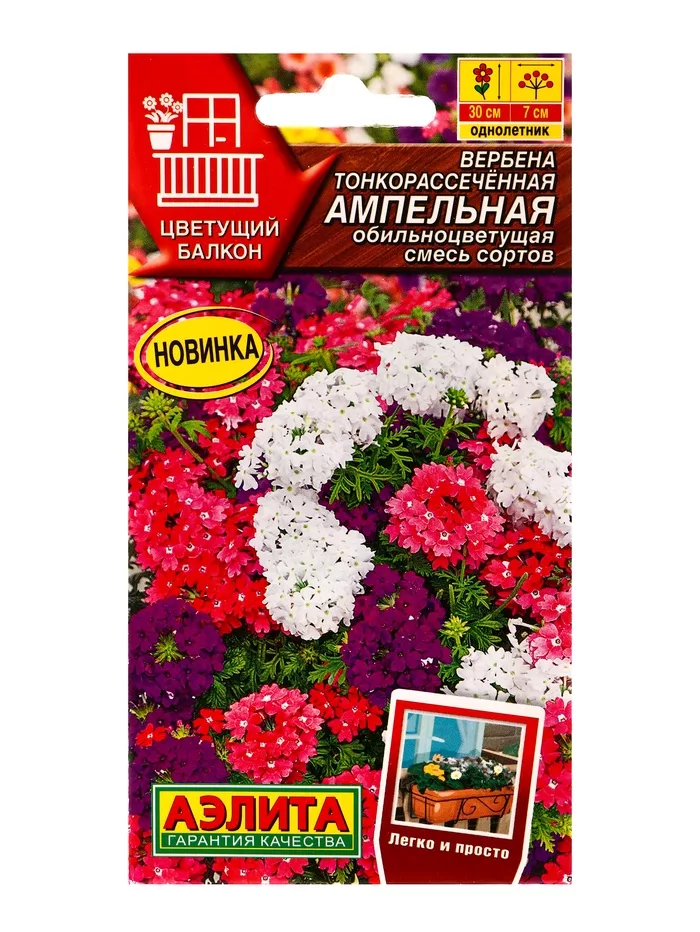 Семена цветов Вербена тонкорассечённая «Ампельная» обильноцветущая — для балкон — фото 3