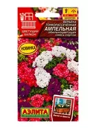Семена цветов Вербена тонкорассечённая «Ампельная» обильноцветущая — для балкон — фото 4