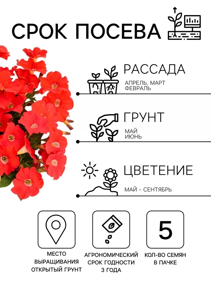 Семена цветов Петуния Минифлора горшечная F1 красная (драже) Цветущий балкон — для балкон — фото 7