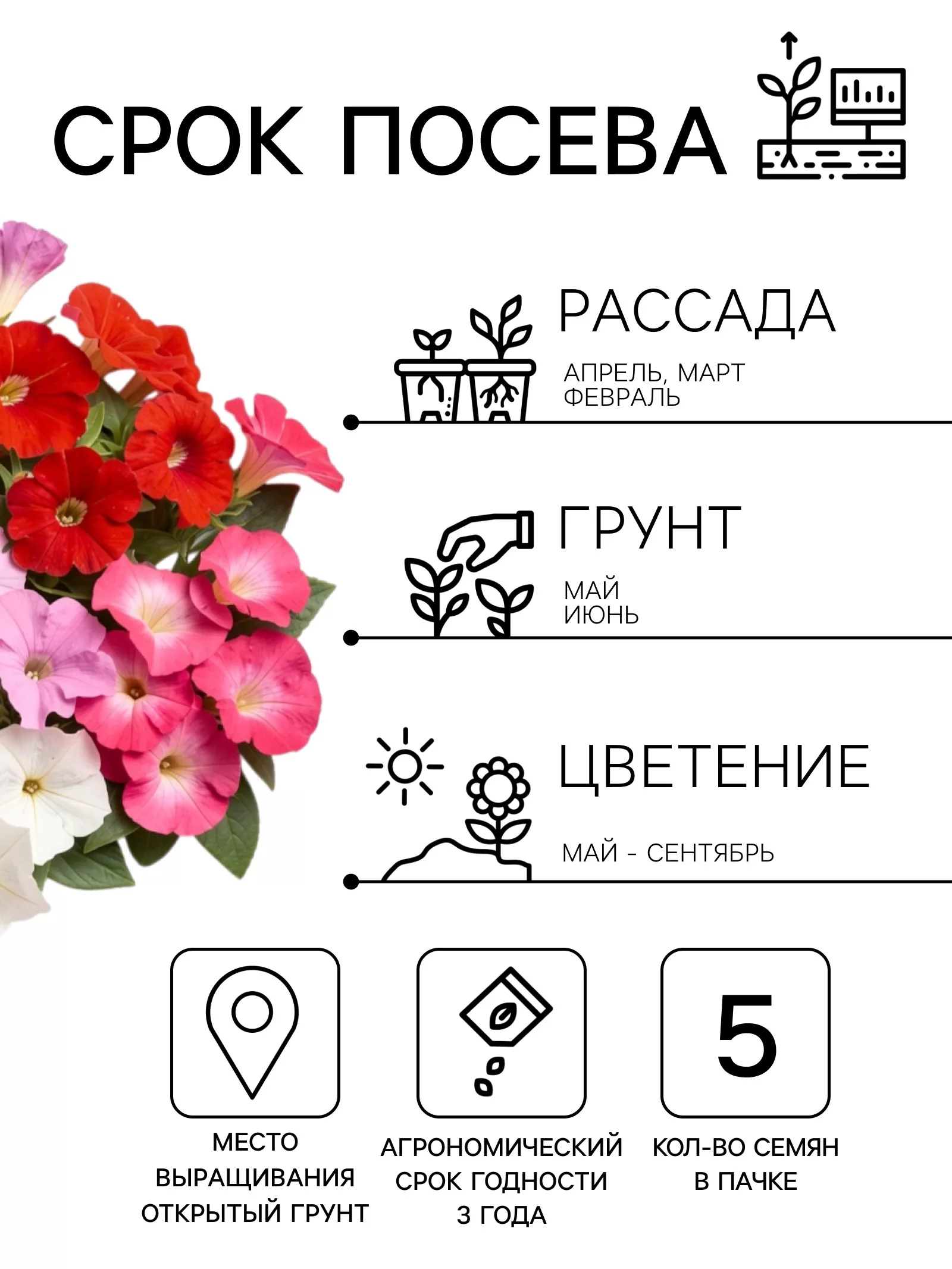 Семена цветов Петуния Минифлора горшечная F1 — для балкон — фото 2