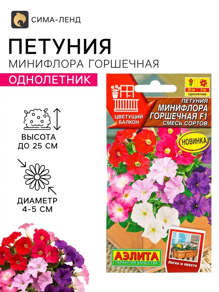 Семена цветов Петуния Минифлора горшечная F1 — для балкон — фото 3