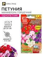 Семена цветов Петуния Минифлора горшечная F1 — для балкон — фото 4