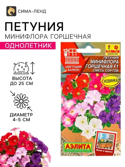 Семена цветов Петуния Минифлора горшечная F1 — для балкон — фото 6