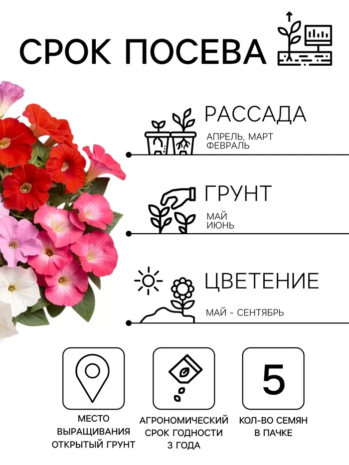 Семена цветов Петуния Минифлора горшечная F1 — для балкон — фото 7