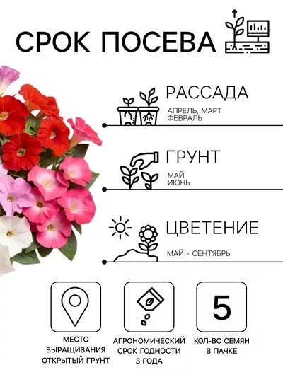 Семена цветов Петуния Минифлора горшечная F1 — для балкон — фото 8