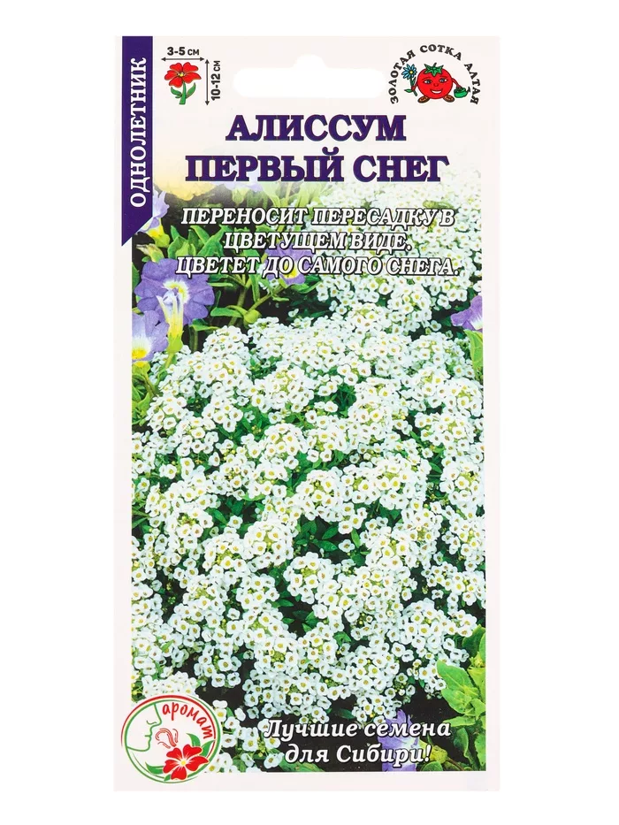 Семена Алиссум «Первый снег» — для балкон — фото 3
