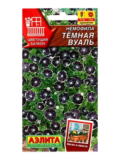 Семена цветов Немофила «Темная вуаль»«Цветущий балкон» 0.1 г — для балкон — фото 6