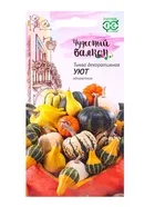 Семена цветов Тыква декоративная Уют — для балкон — фото 4