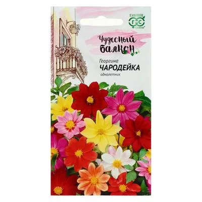 Семена цветов Георгина "Чародейка" — для балкон — фото 6