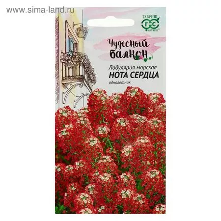 Семена цветов Лобулярия "Нота сердца" — для балкон