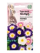 Семена цветов Вьюнок трехцветный Мамба — для балкон — фото 4