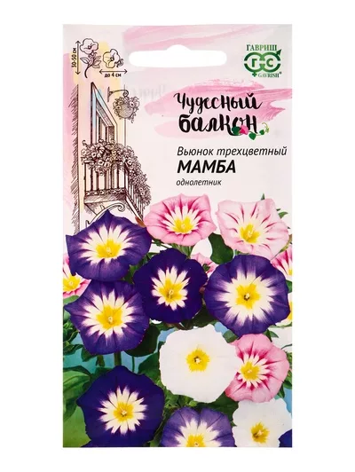 Семена цветов Вьюнок трехцветный Мамба — для балкон — фото 6