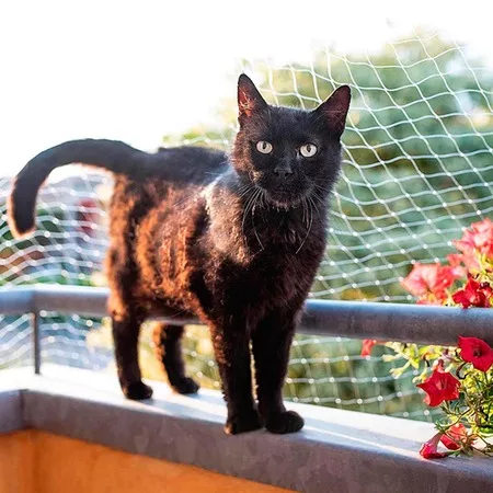 Ferplast Cat Net L защитная сетка на балкон — для балкон — фото 3