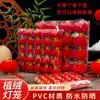 Флокированный маленький фонарь гирлянда кулон бонсай весенний фестиваль новогодний — для балкон