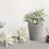 Мини-искусственное суккулентное растение — для балкон