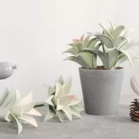 Мини-искусственное суккулентное растение — для балкон — фото 2