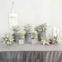 Мини-искусственное суккулентное растение — для балкон — фото 6
